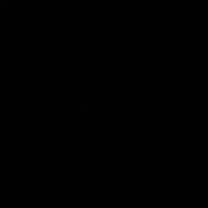 Meet your Posher, Cassie